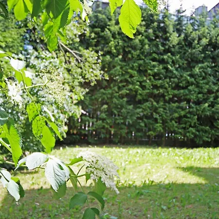 Aurturist S Candido Roulette San Candido Exterior photo