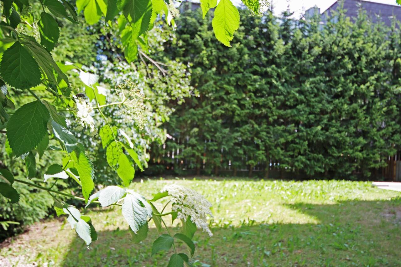 Aurturist S Candido Roulette San Candido